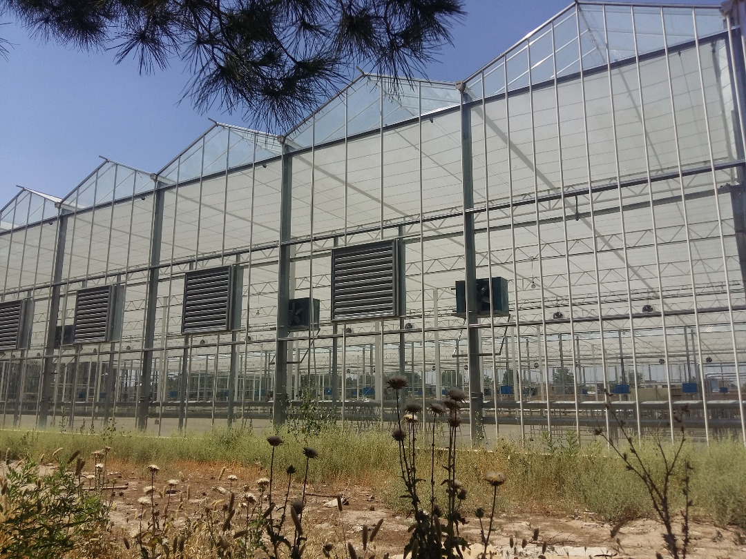 00000230-PHOTO-2021-05-19-14-09-45 گلخانه-شرکت همتا دبتس شالک