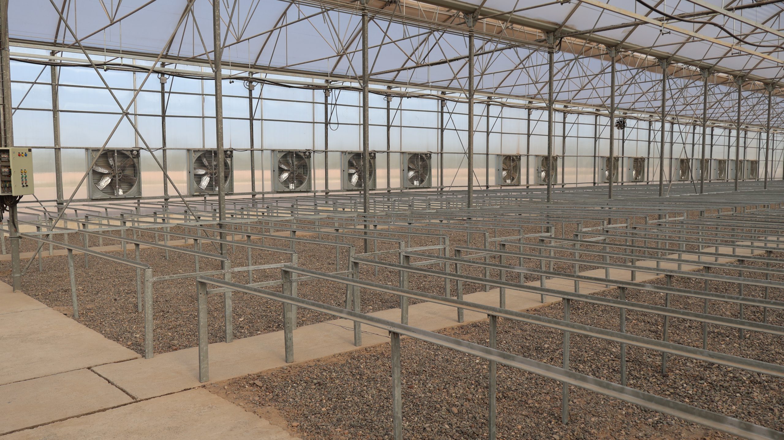 گلخانه شرکت همتا دبتس شالک ساخت گلخانه گلخانه پلاستیکی